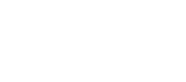 DMG Development Foundation