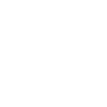 Sun international